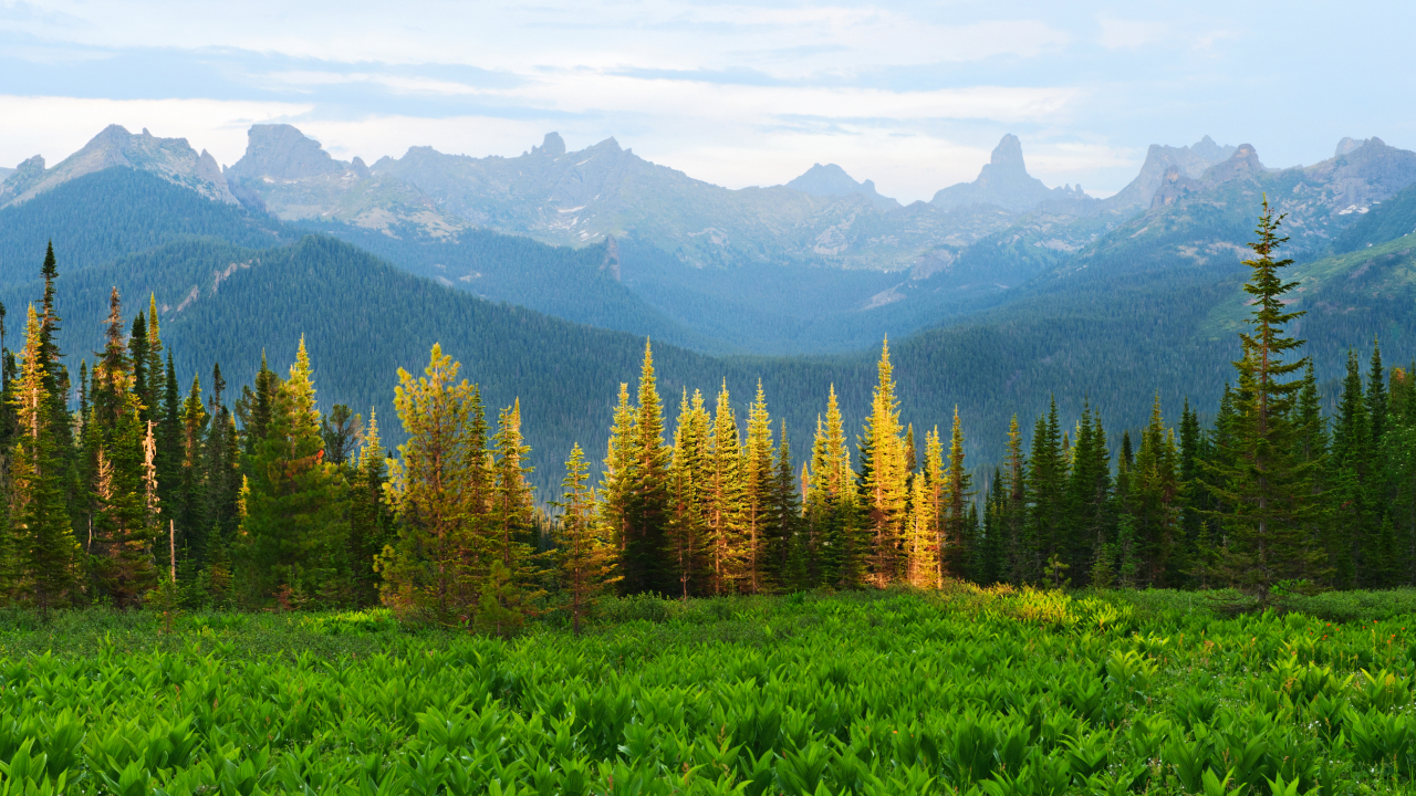 Ученые реконструировали климат Сибири за 2500 лет