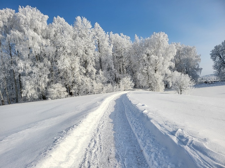 Праздничные выходные в Псковской области. Пушкиногорье.