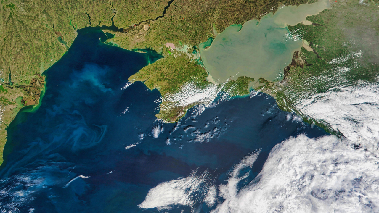 Азовское море теряет биоразнообразие: число видов рыб сократилось вдвое