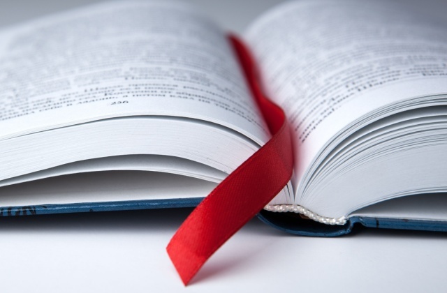 Тиктокерша, фриган, океюшки: в орфографический словарь добавили почти 300 новых слов