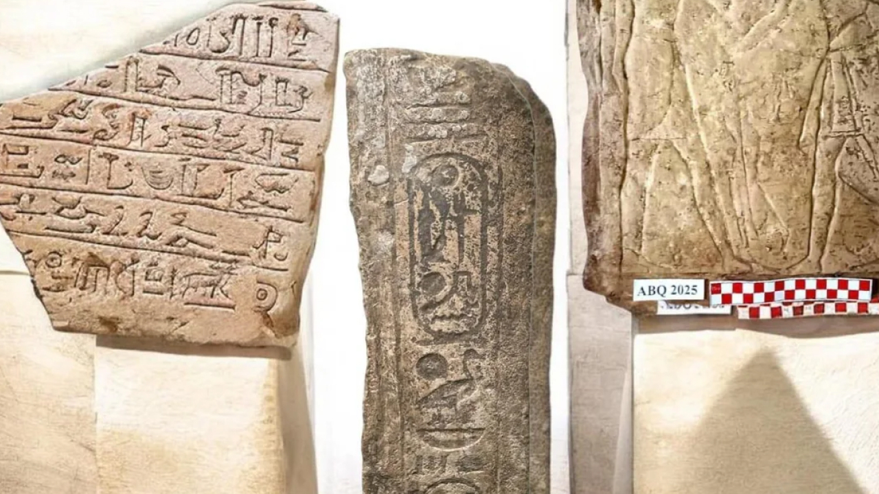 3000-летний боевой конь раскрыл секреты армии Древнего Египта