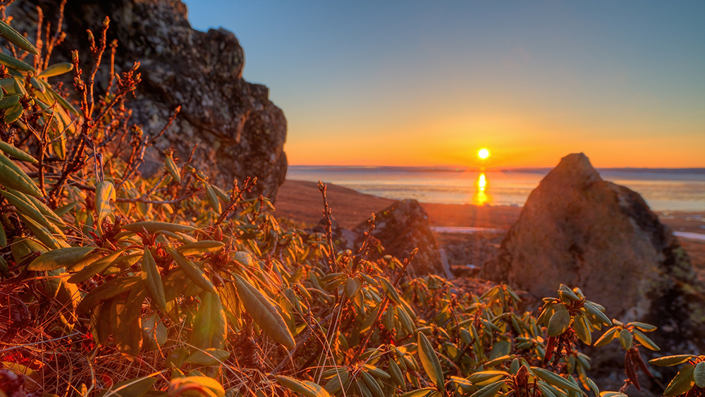 От Арктики до Японии: где лето-2025 побило все температурные рекорды