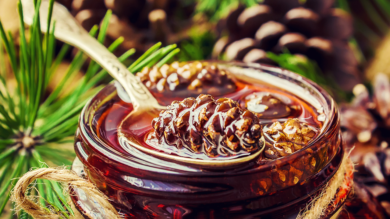 Как приготовить варенье из сосновых шишек