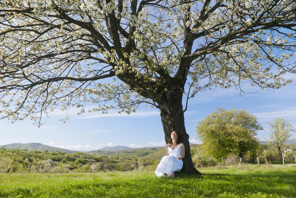 Что относится к живой и неживой природе, связь и отличия