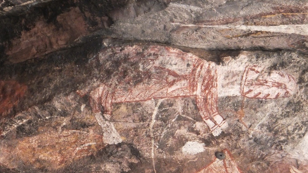 Редкий вымерший вид разглядели на наскальных рисунках в Австралии