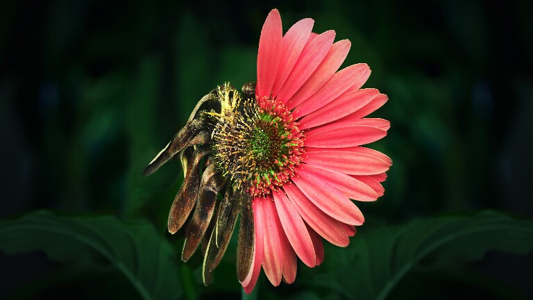 Что произойдет с Землей к 2100 году