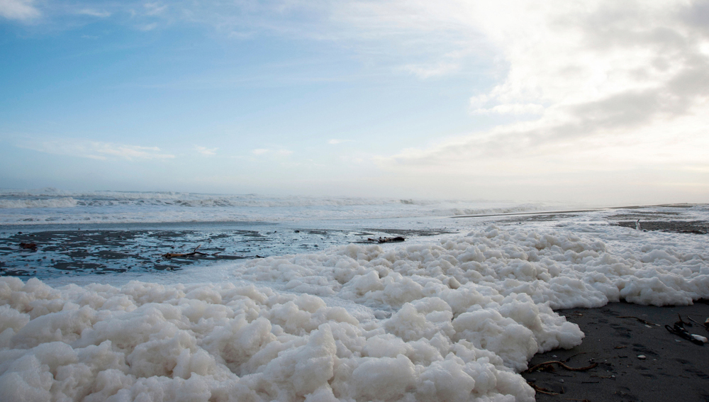 Густая «снежная» пена захватила пляжи в Европе