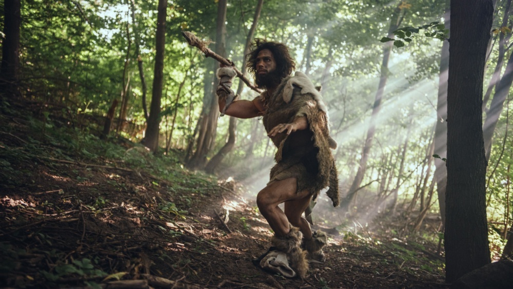 Древние люди загоняли в ловушку целые стада оленей: раскрыт их секрет