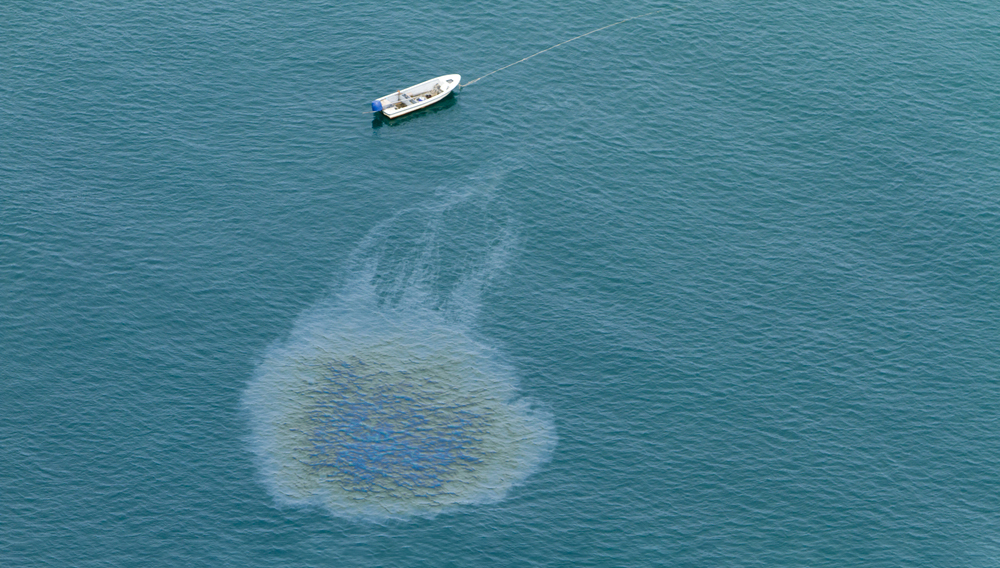 Эксперты рассказали, как можно очистить море после разлива нефти у Туапсе и чем опасно загрязнение