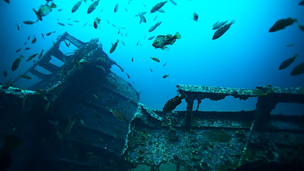 Аномально обмелевшие воды Балтики обнажили судно XVII века