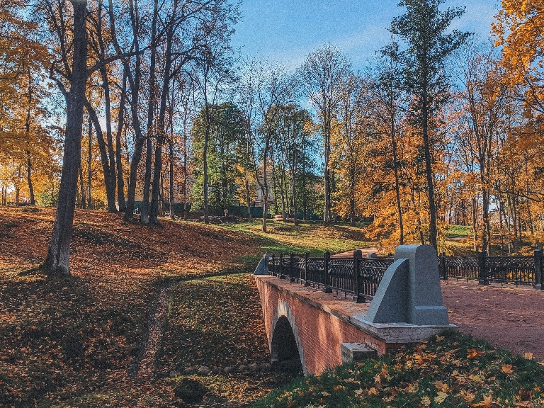 Пирожки с капустой это зло