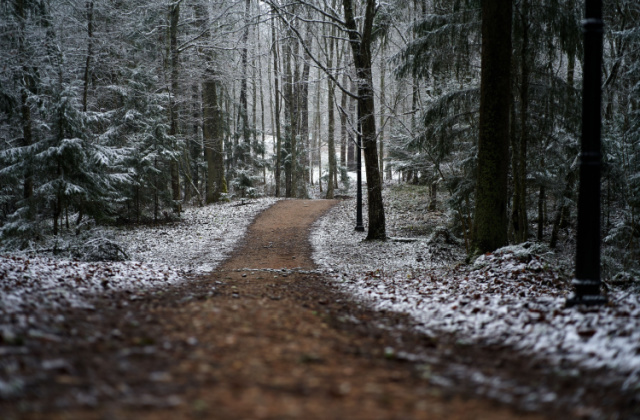 Первый снег в Европейской России пройдет уже на выходных
