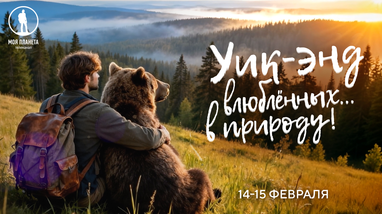 Байкальская нерпа, норвежские фьорды и заповедная Россия: Уик-энд влюбленных в природу на «Моей Планете»