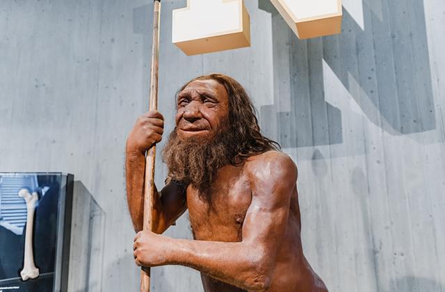 Четыре причины, которые привели к появлению человека