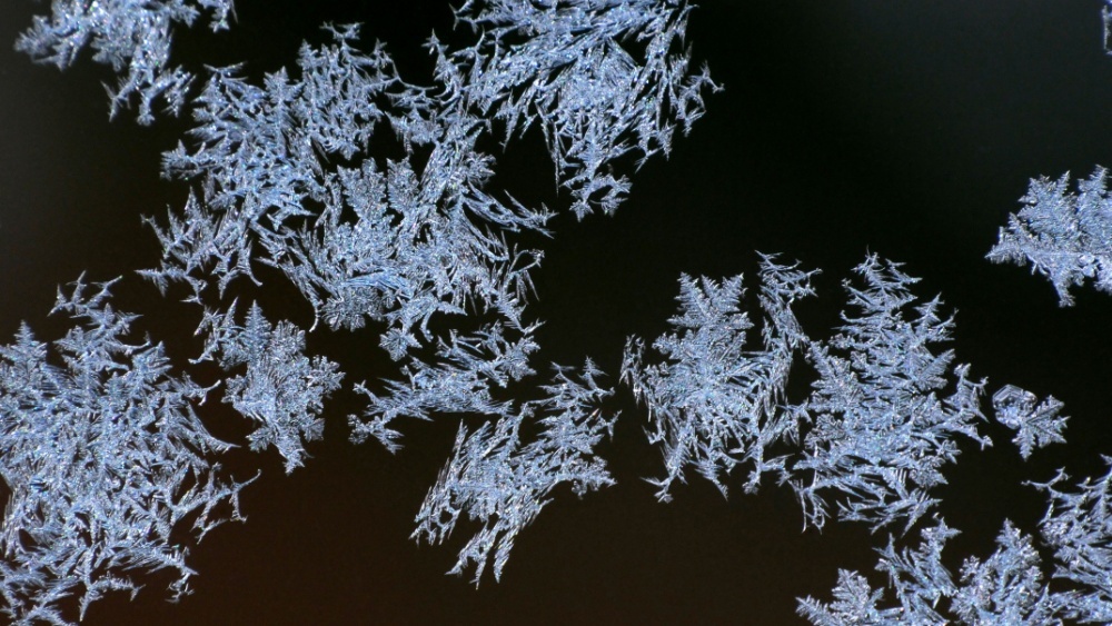 Снежное сало: на реках Петербурга заметили живописное явление