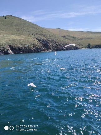 Что важнее сегодня?