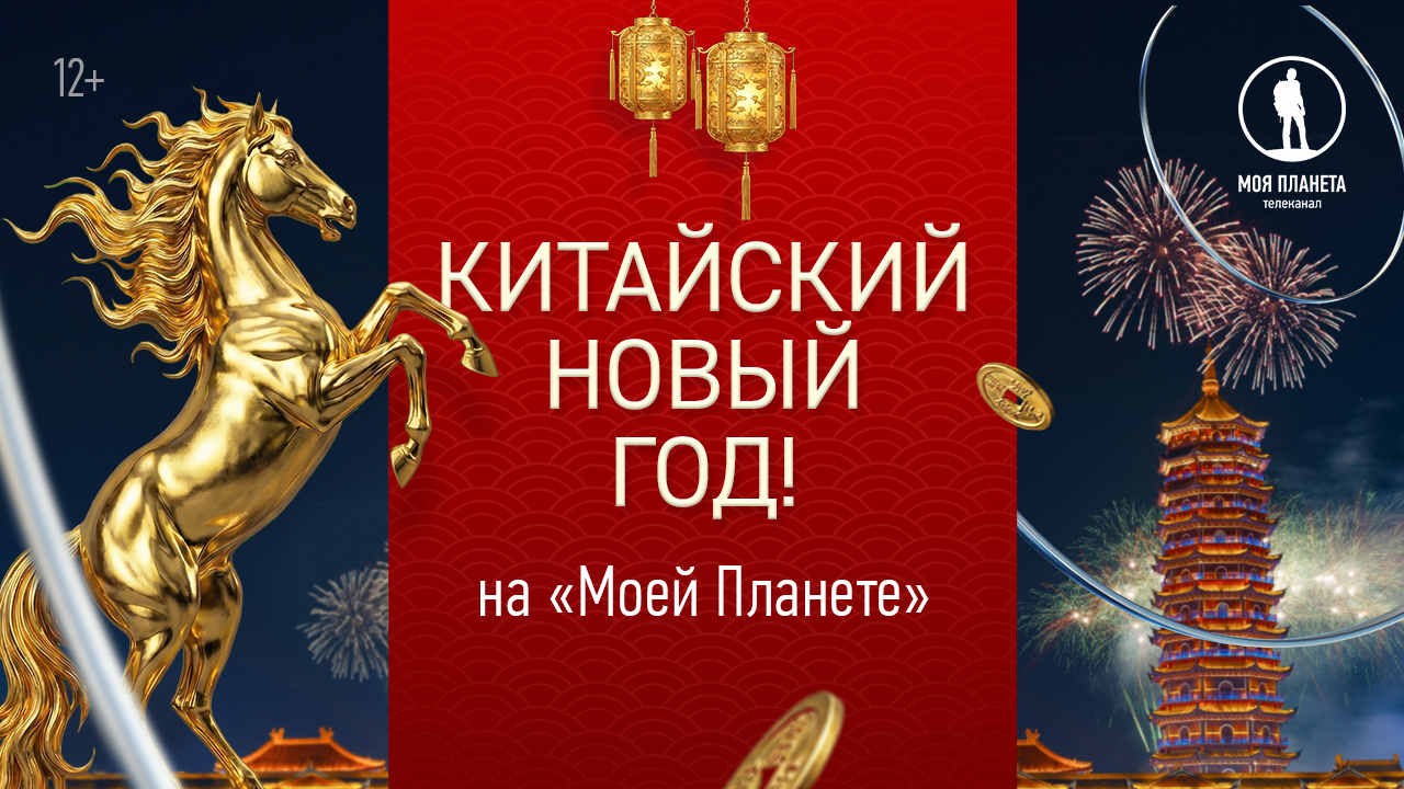 Королевство панд, искусство чаепития и тайны Поднебесной: китайский Новый год на «Моей Планете»