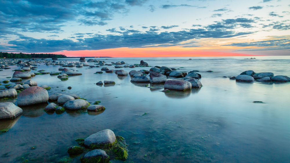 Балтийское море задыхается, несмотря на очистку: ученые нашли причину