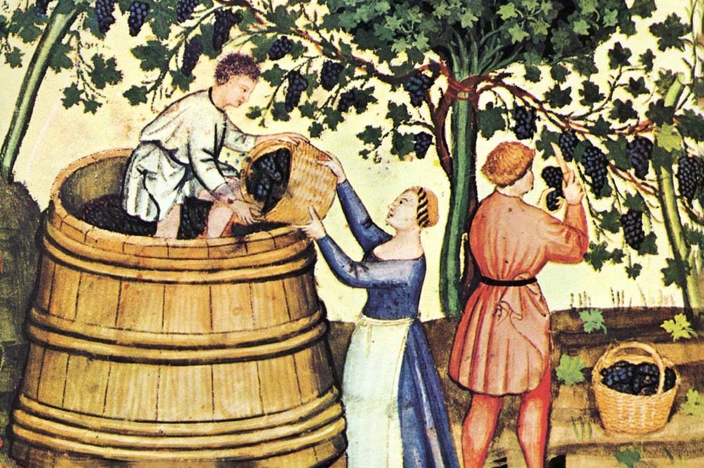 История вина: от древности до наших дней