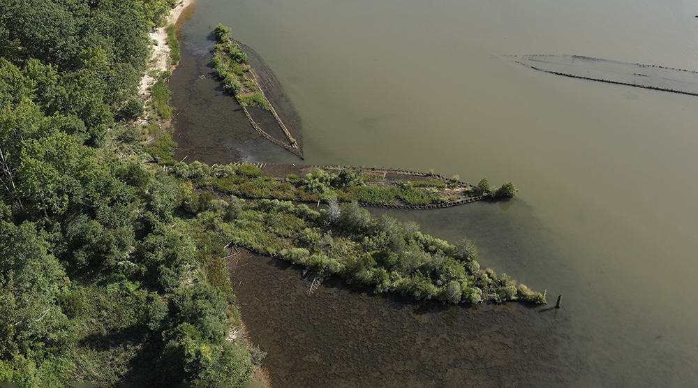 В Балтийском море нашли существ, процветающих на взрывчатке времен Второй мировой войны