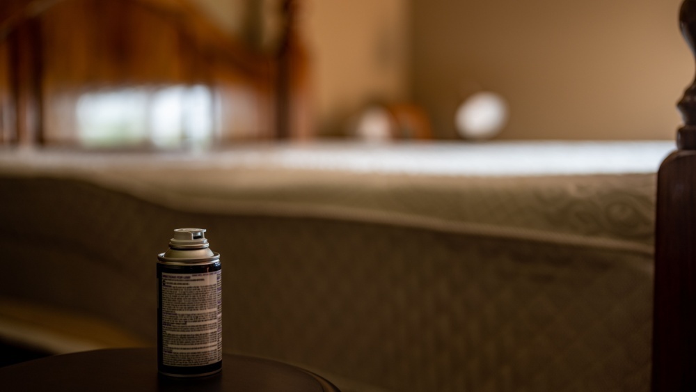 Российские туристы столкнулись с нашествием клопов в египетских отелях