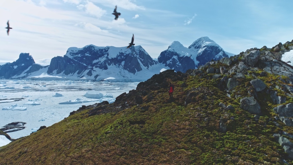 Атмосферные реки: как потоки теплого воздуха разрушают Антарктиду изнутри