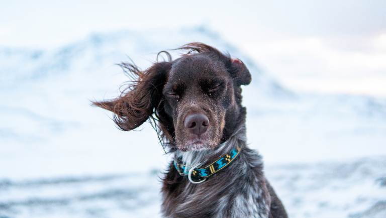 Где зарегистрирована самая низкая температура на Земле