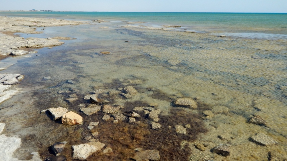 Каспийское море стремительно мелеет — как это остановить