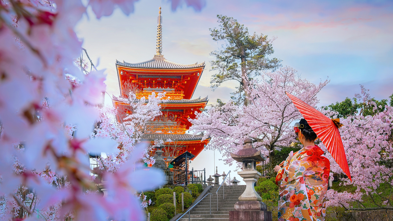 Сезон сакуры-2026 в Японии стартовал — с опережением графика