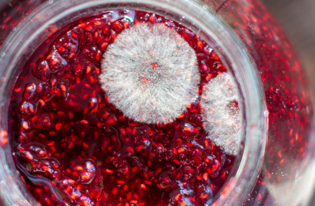 Что будет, если съесть продукт с плесенью?