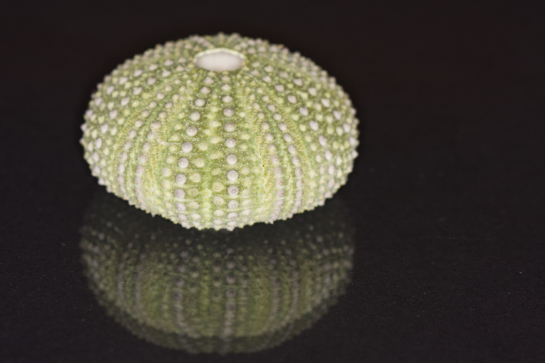 Вопрос: что это?