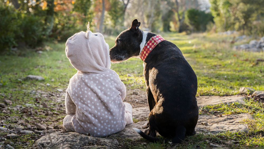 Ученые развенчали стереотипы о пользе собак и кошек для детей