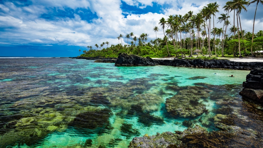 Колониализм 19 века до сих пор влияет на вымирание видов