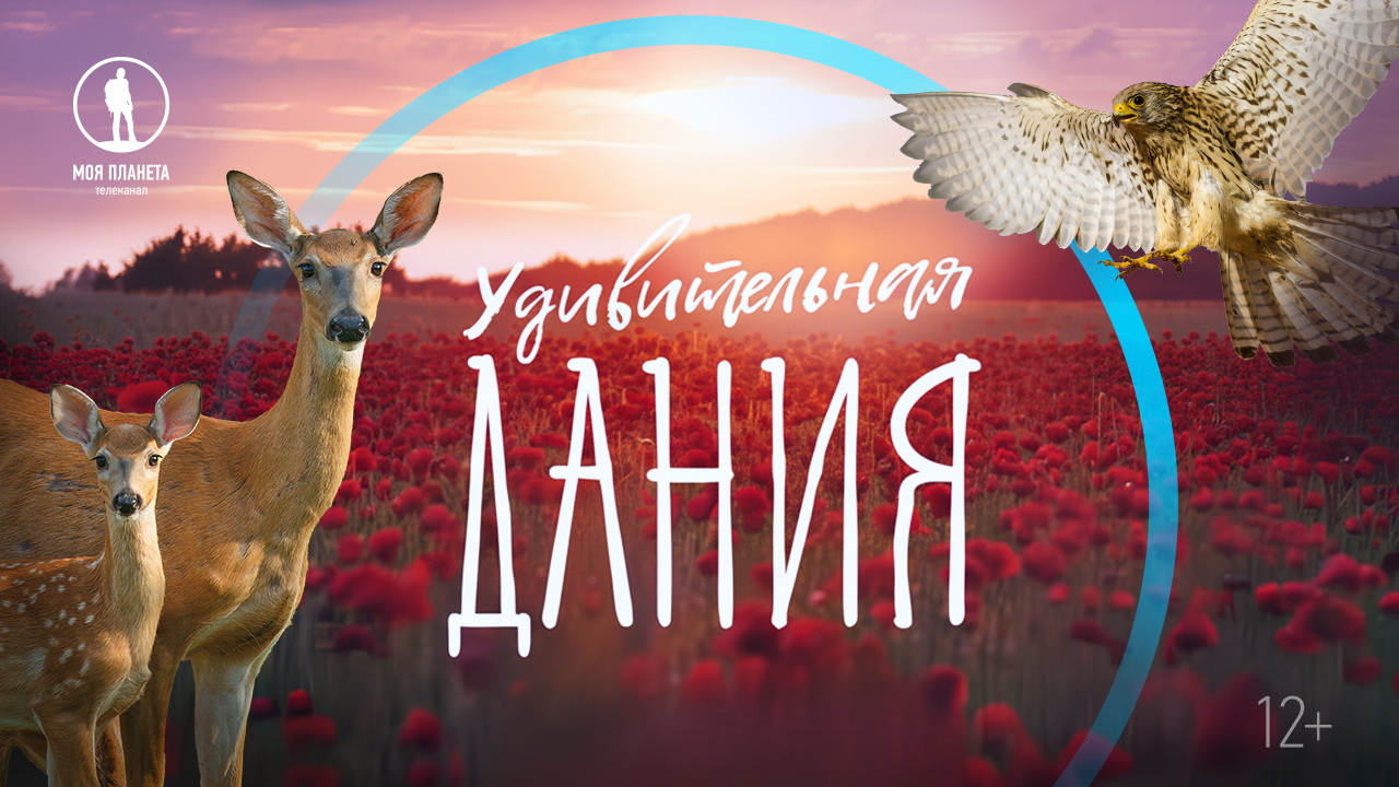 Премьера многосерийного фильма «Удивительная Дания» на «Моей Планете»