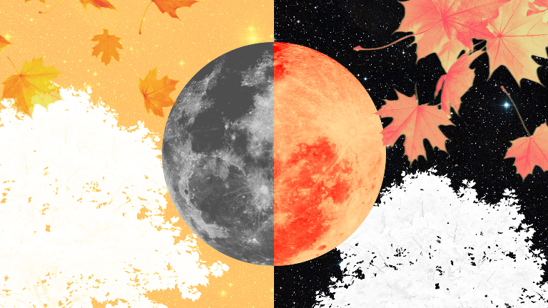 Осеннее равноденствие: когда ночь почти равняется дню