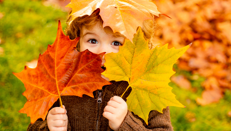 Надо ли убирать опавшие листья