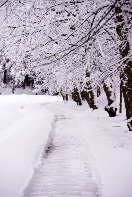 Зимний Выборг ч.1