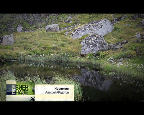 Телебиеннале. Норвегия