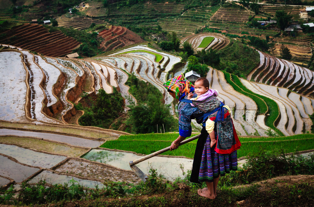 Рисовые террасы в Му-Кан-Чае