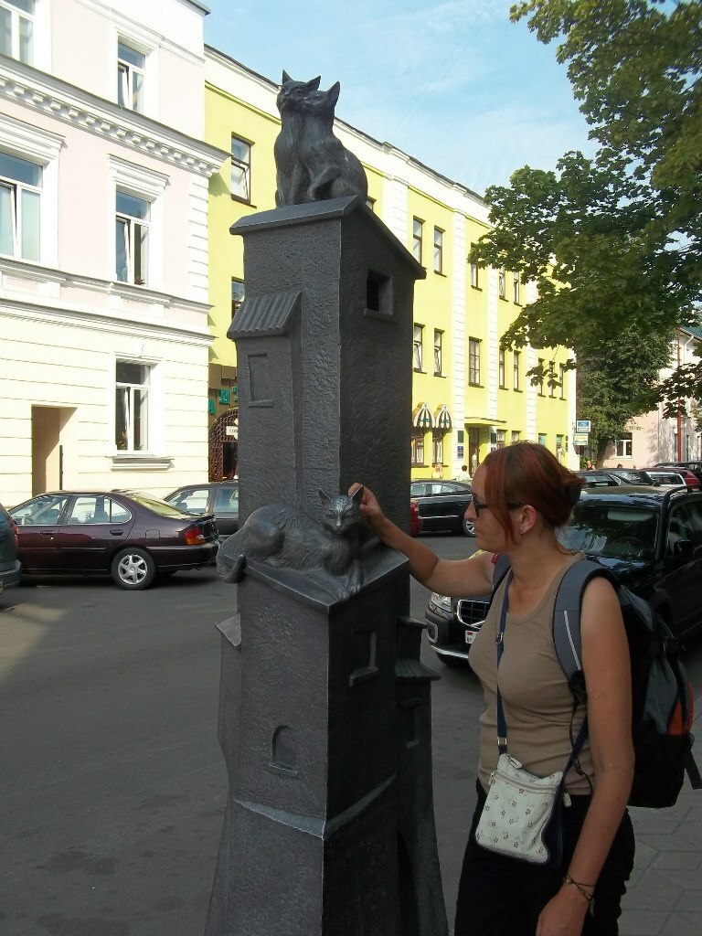 Жесткие и холодные, но котики