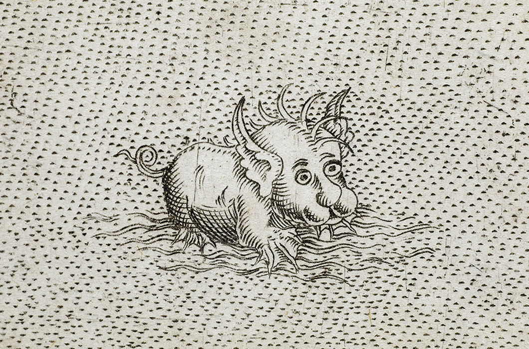 Необычное морское животное — гибрид свиньи и собаки на карте Джакомо Гастальди La desсriptione dela Puglia, изданной в Венеции. 1567 год.