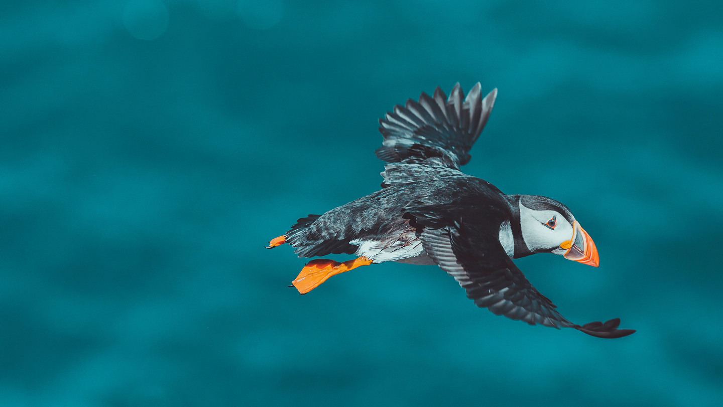 интересные факты