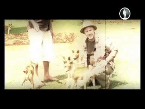 Планета собак. Басенджи