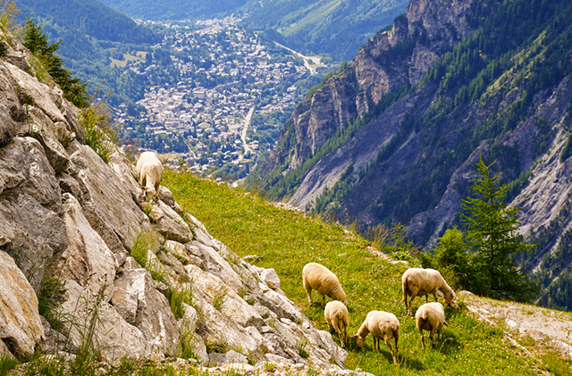 Долина Аосты