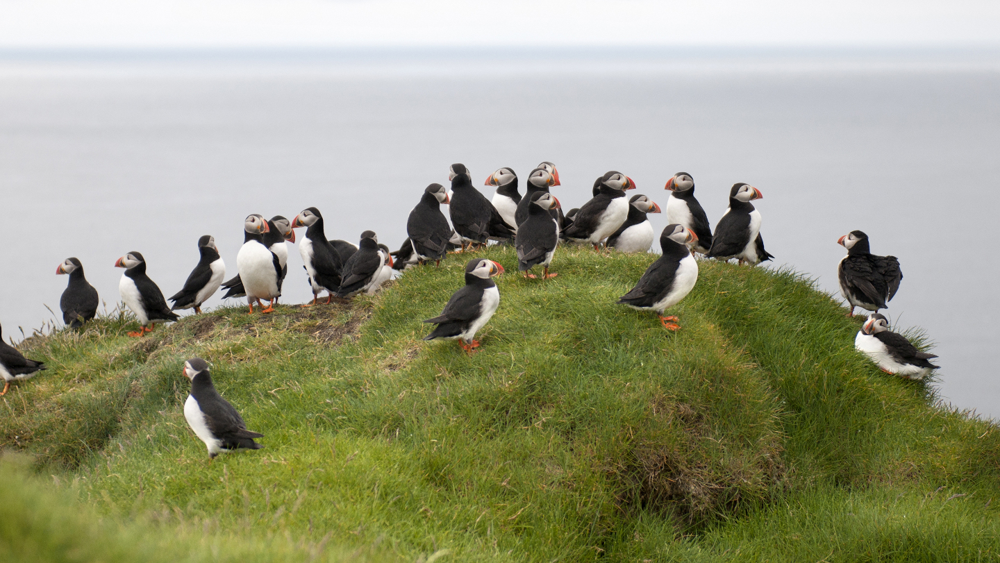 сколько осталось