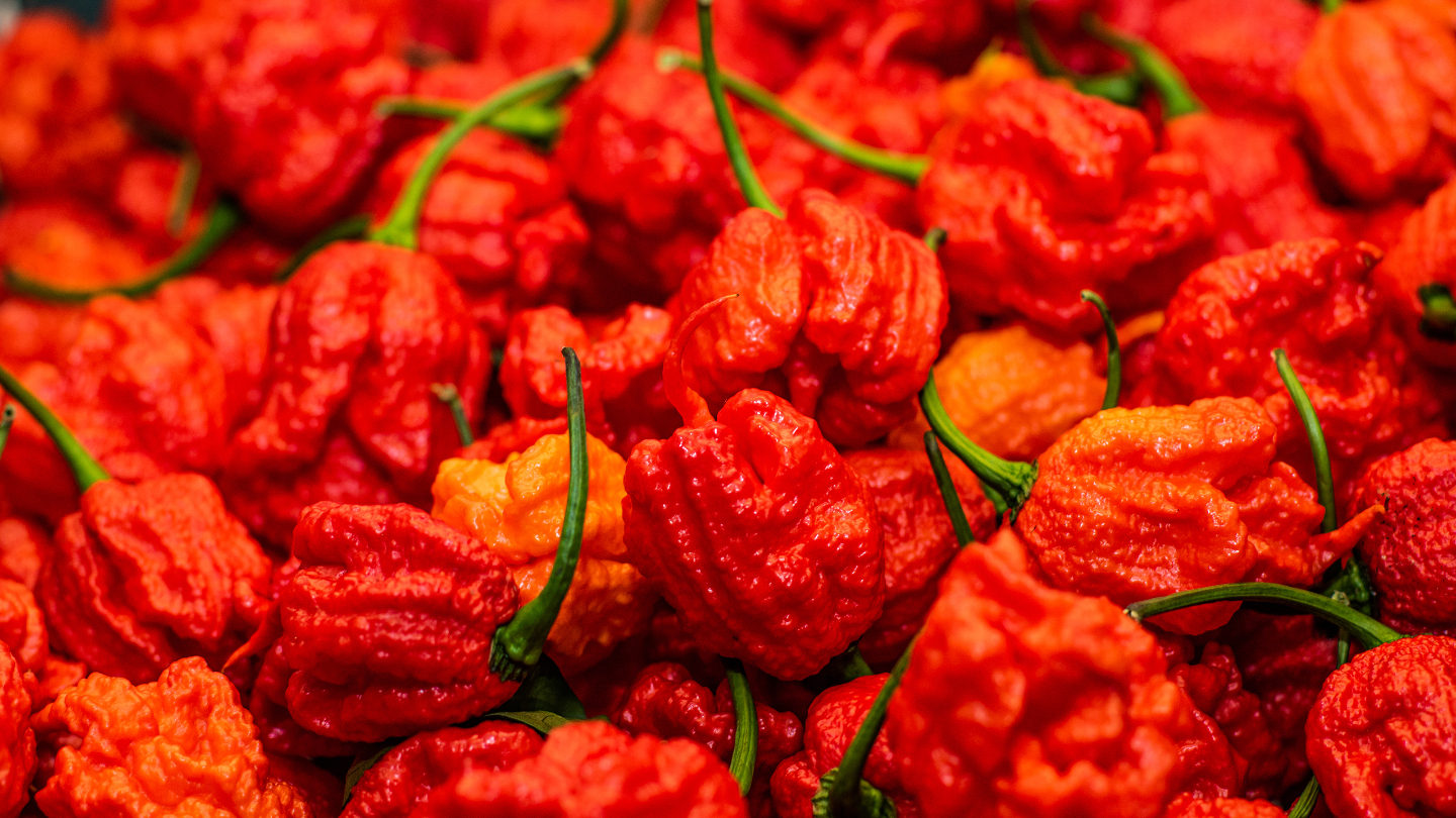 самый острый перец