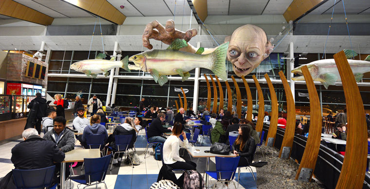 3abef304c08bfbafb3203af297f93682 Как поехать в новую зеландию