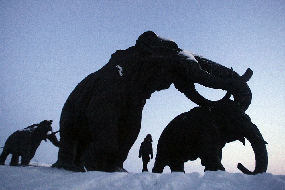 «Ямские мамонты» — палеонтологический заказник