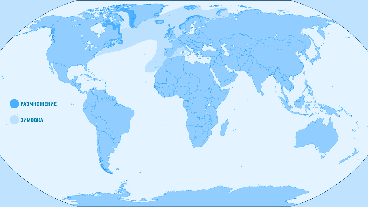 где обитает