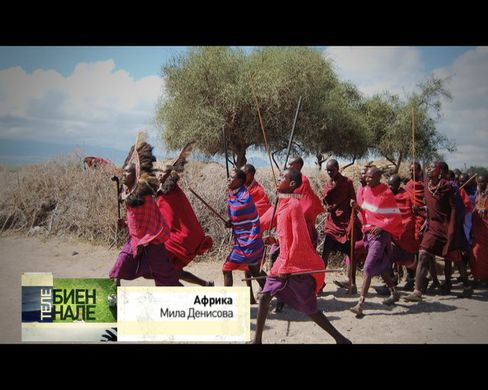 Телебиеннале. Африка